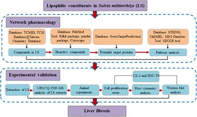 Lipophilic Constituents in Salvia miltiorrhiza Inhibit Activation of the Hepatic Stellate Cells by Suppressing the JAK1/STAT3 Signaling Pathway: A Network Pharmacology Study and Experimental Validation